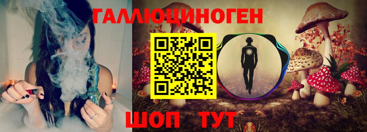 Галлюциногенные грибы Cubensis  Вход с VPN  Псилоцибиновые грибы прущие грибы  Чернушка 